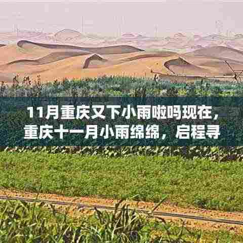 重庆十一月绵绵小雨中的心灵绿洲探寻之旅