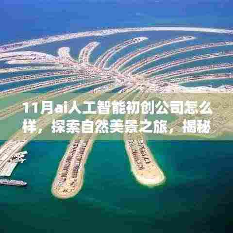 揭秘十一月AI人工智能初创公司的奇妙探索,与自然美景同行,追寻内心宁静与平和的旅程