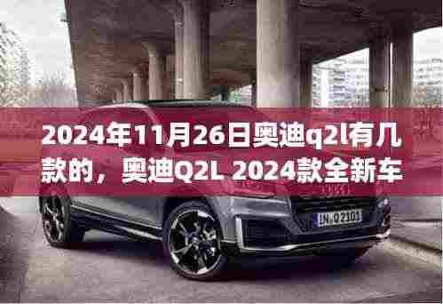 奥迪Q2L 2024款全新车型深度解析,多样选择,时尚与性能的完美融合