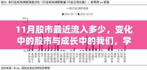 股市动态揭秘,成长与投资的奇妙旅程,学习自信与成就感的提升