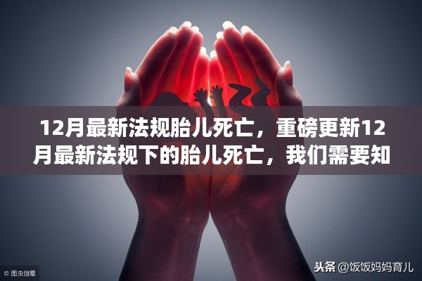 重磅更新,12月最新法规下的胎儿死亡须知