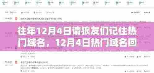 狼友回忆,12月4日热门域名碰撞记