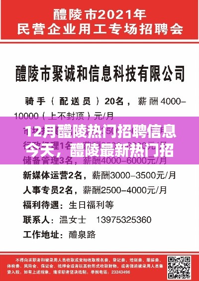 12月醴陵热门招聘信息速递,最新职位抢眼,大放送招聘资讯!