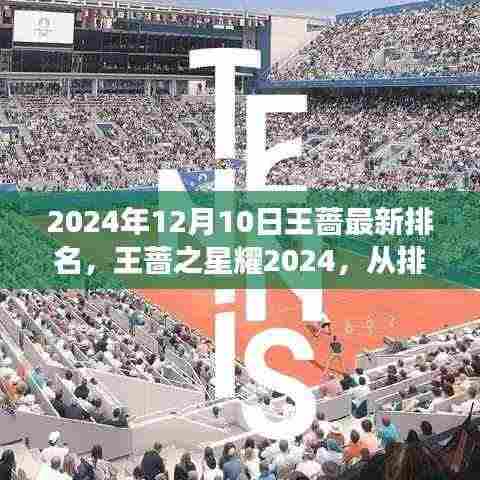王蔷之星耀2024,排名变迁见证学习与自我超越的无限可能