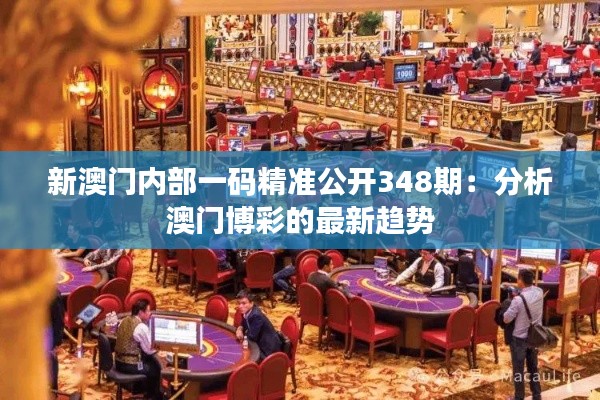 新澳门内部一码精准公开348期:分析澳门博彩的最新趋势