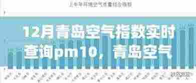 青岛十二月空气质量深度解析,PM10指数实时查询与空气质量详解