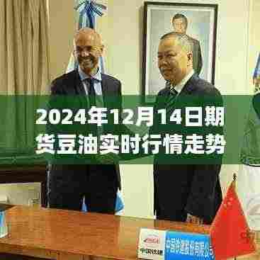 2024年期货豆油实时行情走势探索,穿越自然秘境的心灵之旅