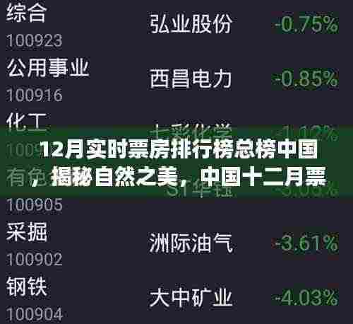 中国十二月票房巅峰之旅,自然之美与微笑的秘密港湾