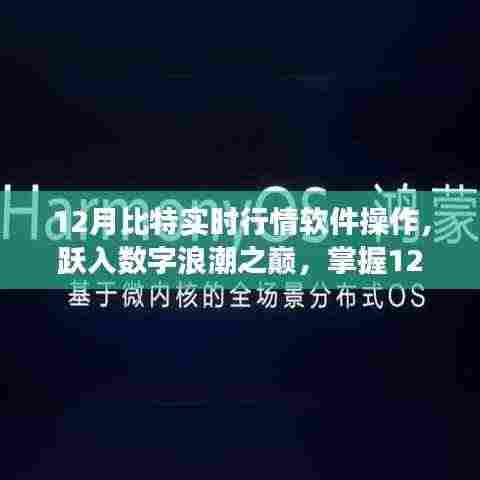 掌握数字浪潮之巅,揭秘12月比特实时行情软件的励志操作之旅