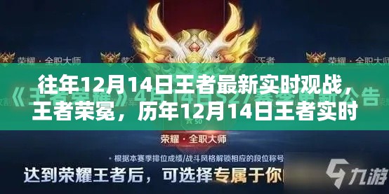 历年12月14日王者实时观战回顾与深度解析,荣耀之战的王者荣冕
