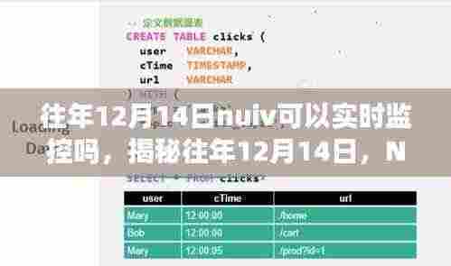 揭秘,往年12月14日NUIV的实时监控功能解析