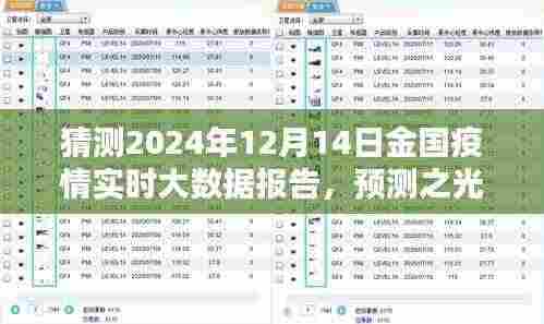 2024年12月14日金国疫情实时大数据报告深度解析与预测之光