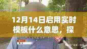 探秘小巷深处独特风味,实时模板特色小店之旅启程(12月14日)