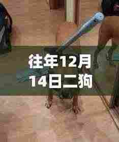 如花似玉 第4页