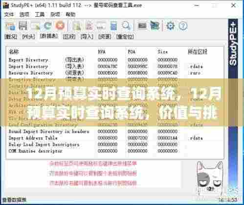 全方位解读,12月预算实时查询系统的价值与面临的挑战
