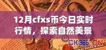 12月CFXS币行情下的自然探索与心灵之旅,实时行情及内心宁静的追寻