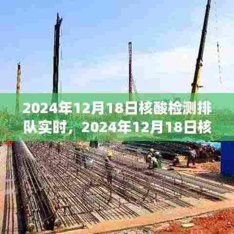 2024年12月18日核酸检测排队实时现象,深度分析与个人观点