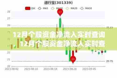 12月个股资金净流入实时查询产品全面评测与介绍