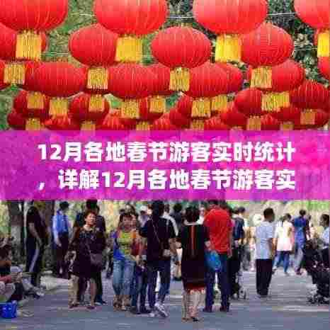 12月春节各地游客实时统计详解与步骤指南,技能进阶篇