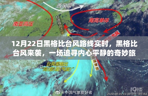黑格比台风来袭,追寻内心平静的旅程实时报道