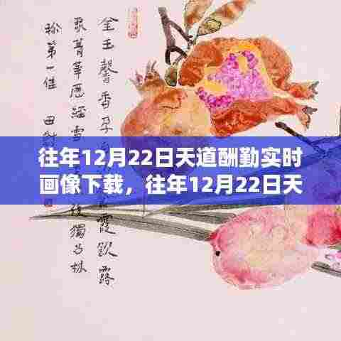 往年12月22日天道酬勤实时画像,勤奋塑造辉煌瞬间