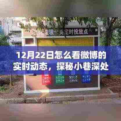 探秘微博实时风尚馆，小巷深处的隐藏版特色小店带你领略实时动态魅力之旅