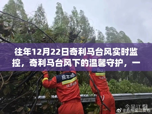 奇利马台风下的守护与奇妙日常之旅,实时监控与温馨体验