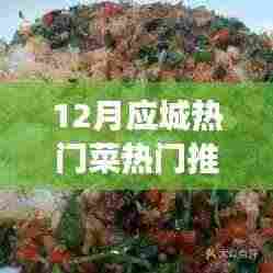应城十二月美食盛宴,热门菜馆风云录与时代印记