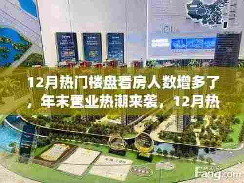 年末置业热潮来袭，揭秘12月热门楼盘看房人数激增现象解读