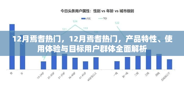 全面解析,焉耆热门产品特性、用户体验与目标用户群体——12月版