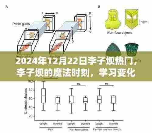 李子坝魔法时刻,变化的力量与自信种子的绽放(2024年12月22日)