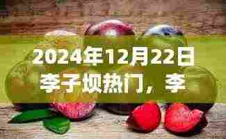 李子坝魔法时刻,变化的力量与自信种子的绽放(2024年12月22日)
