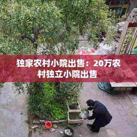 独家农村小院出售:20万农村独立小院出售