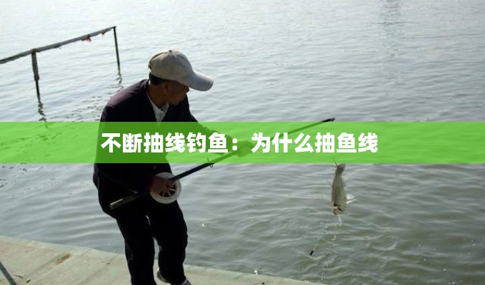 不断抽线钓鱼:为什么抽鱼线