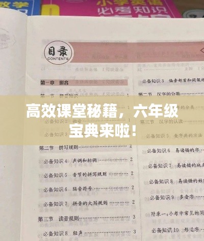 高效课堂秘籍,六年级宝典来啦!