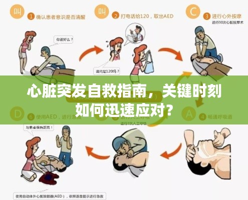 心脏突发自救指南,关键时刻如何迅速应对?