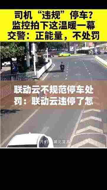 联动云不规范停车处罚：联动云违停了怎么办 