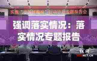 强调落实情况:落实情况专题报告