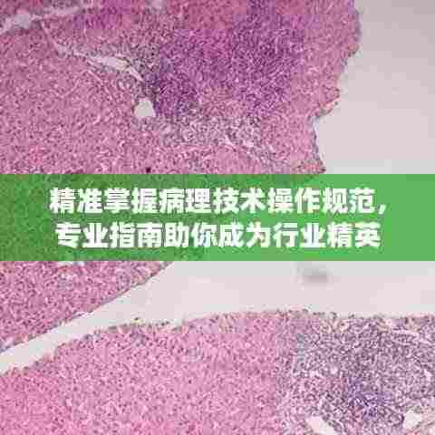 精准掌握病理技术操作规范，专业指南助你成为行业精英
