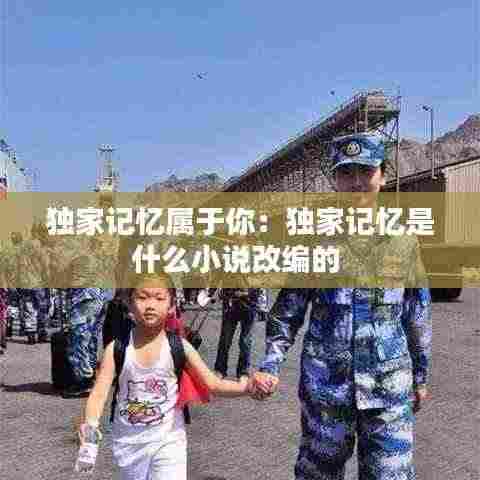 独家记忆属于你：独家记忆是什么小说改编的 