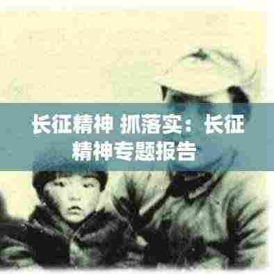 长征精神 抓落实：长征精神专题报告 