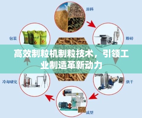 高效制粒机制粒技术，引领工业制造革新动力