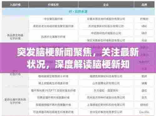 突发脑梗新闻聚焦,关注最新状况,深度解读脑梗新知