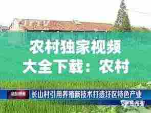 农村独家视频大全下载:农村视频排行榜