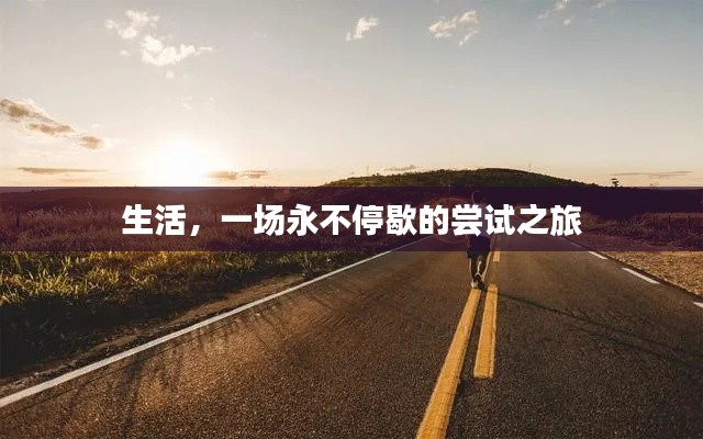 生活,一场永不停歇的尝试之旅