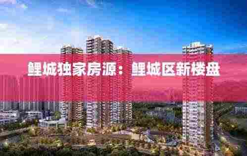 鲤城独家房源:鲤城区新楼盘