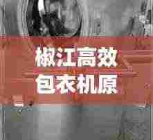 椒江高效包衣机原理图：描述高效包衣机工作原理 