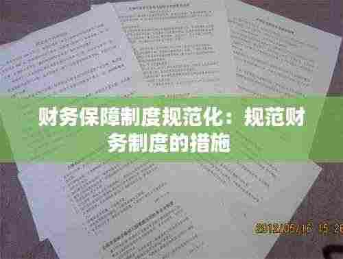 财务保障制度规范化:规范财务制度的措施