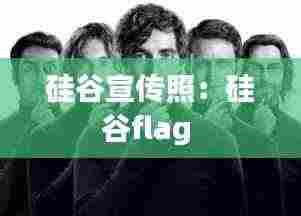 硅谷宣传照:硅谷flag