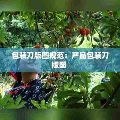 包装刀版图规范：产品包装刀版图 
